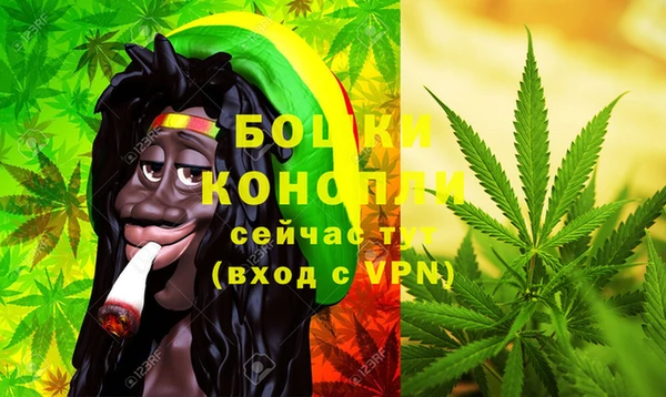 ECSTASY Бородино