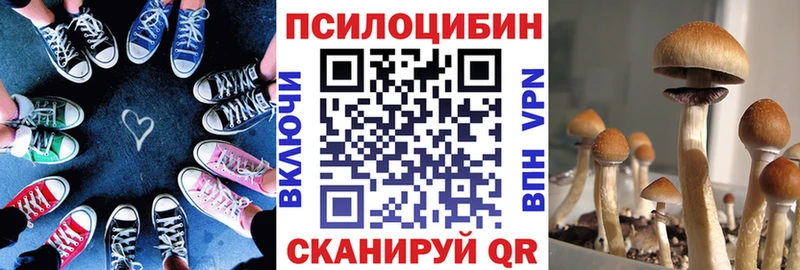 Псилоцибиновые грибы мухоморы  Геленджик 